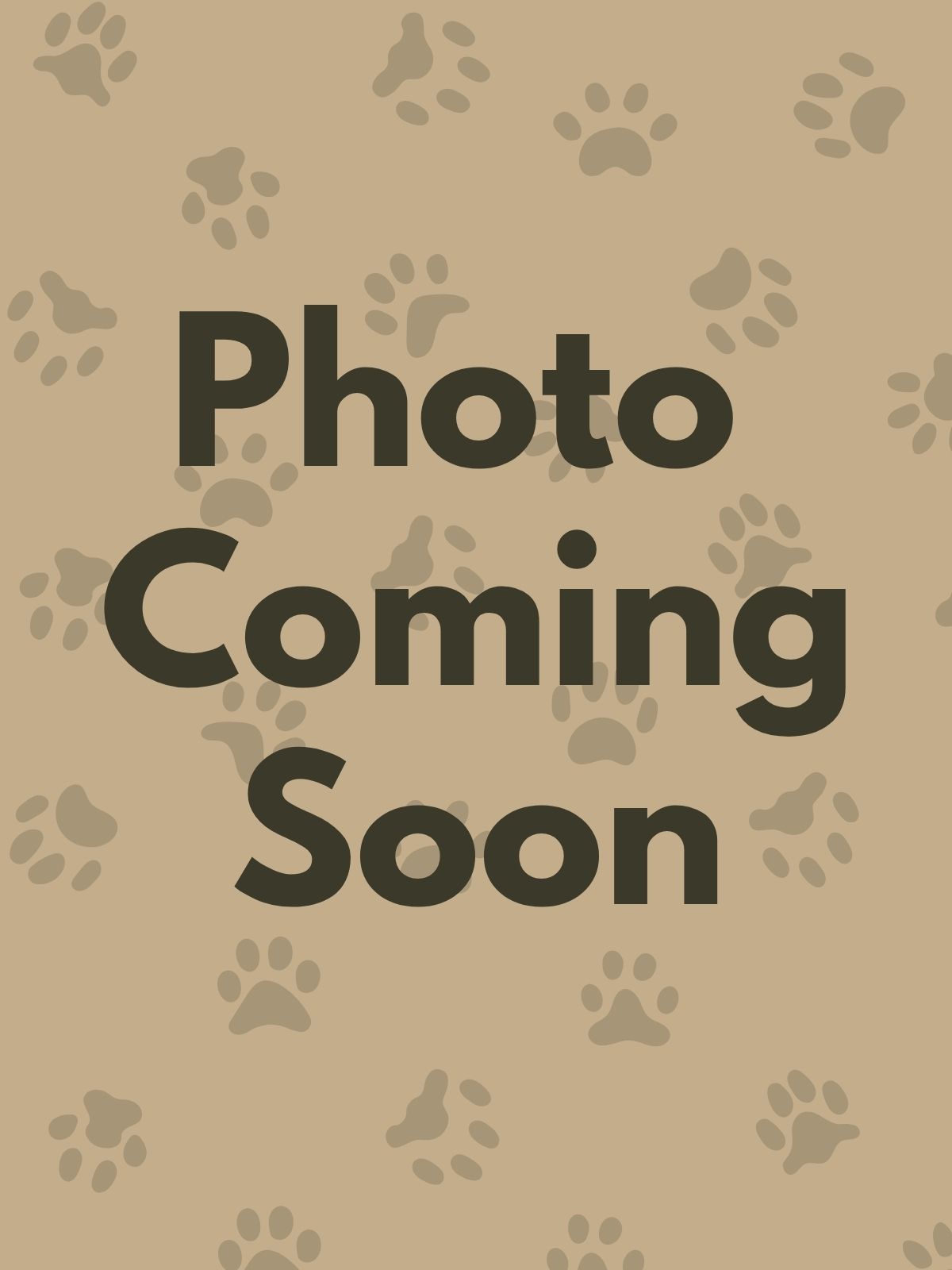 Photo placeholder