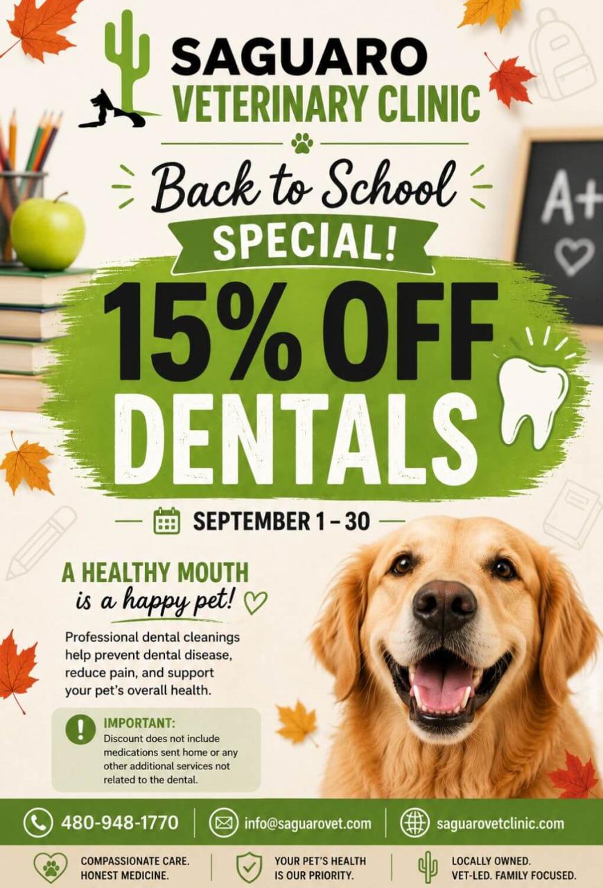 15% off dentals