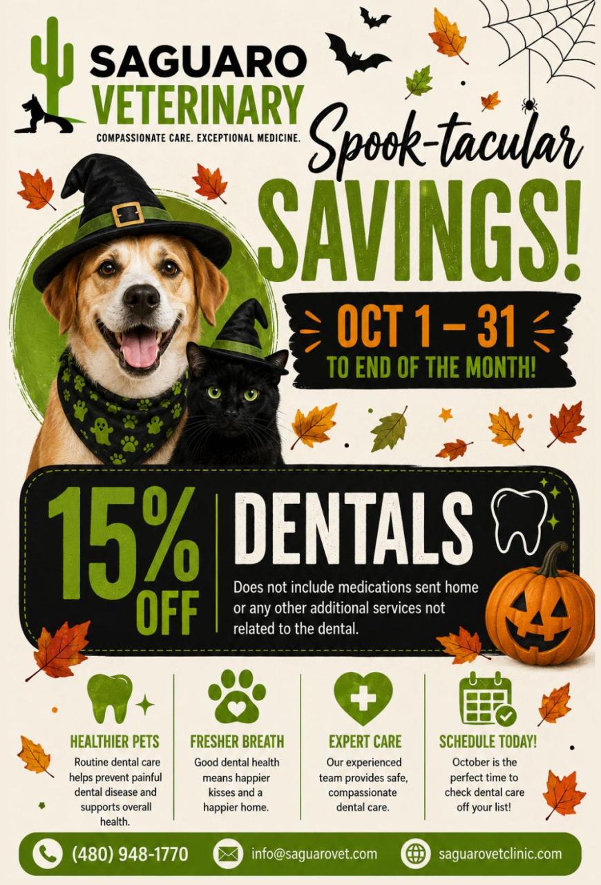 15% off dentals